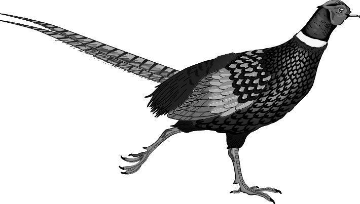 Научный совет РАН по спектроскопии атомов и молекул